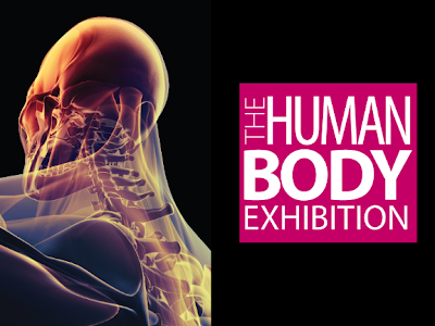 human body exhibition in ardindan 1