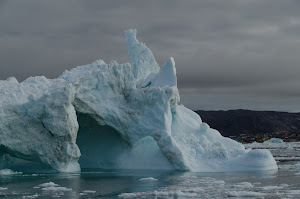 Every iceberg was a different shape ....