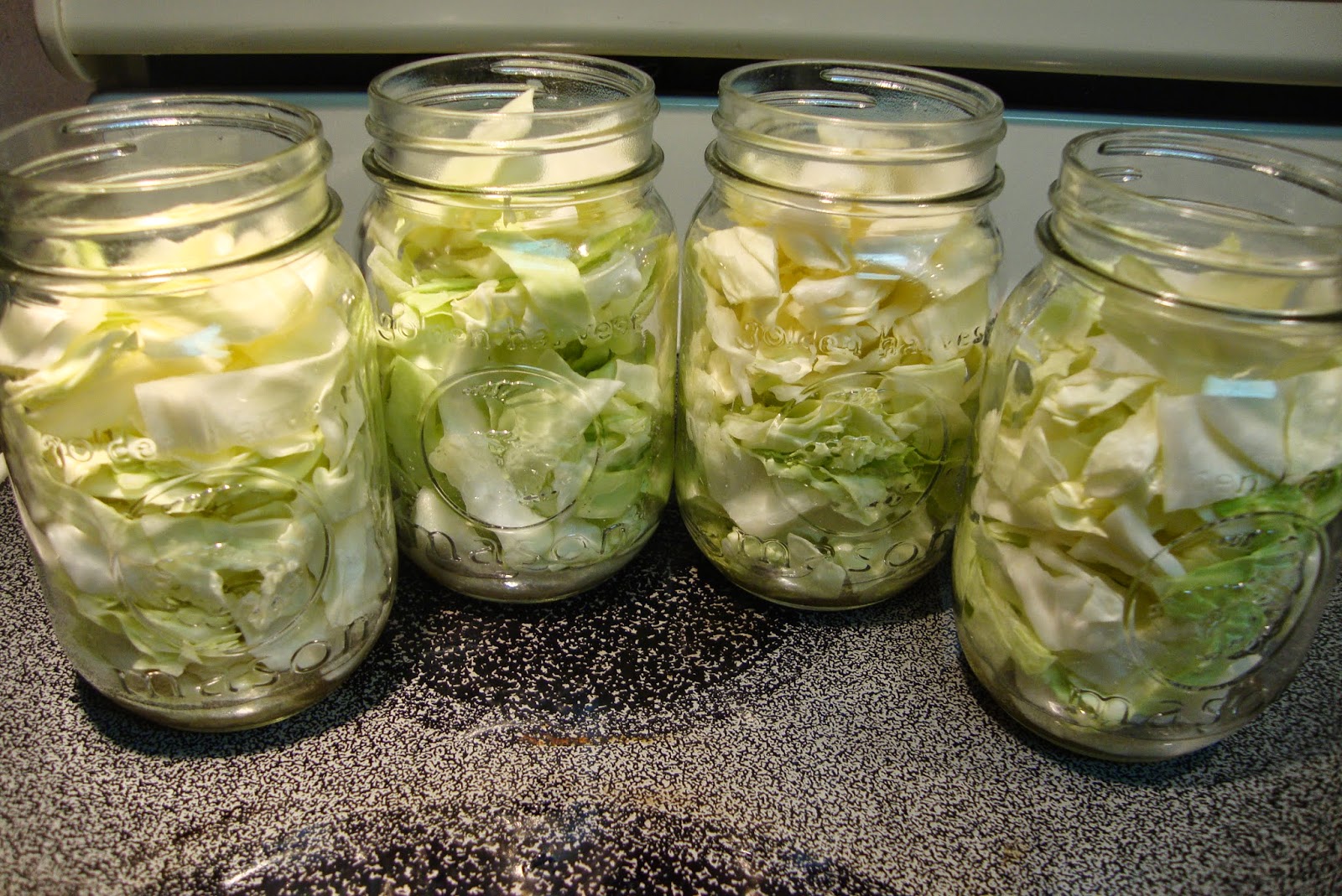 Start from Scratch Sauerkraut {Gluten Free}