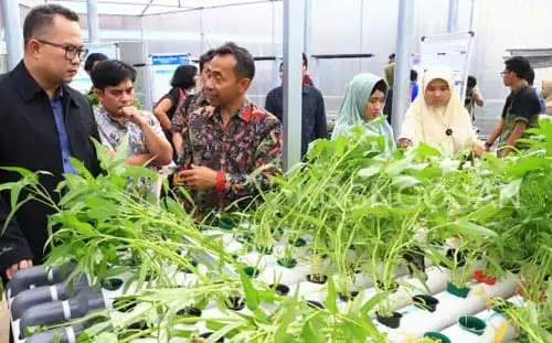 rekayasa pertanian rekayasa pertanian