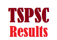 TSPSC Results Telangana State Public Service Commission TSPSC Results