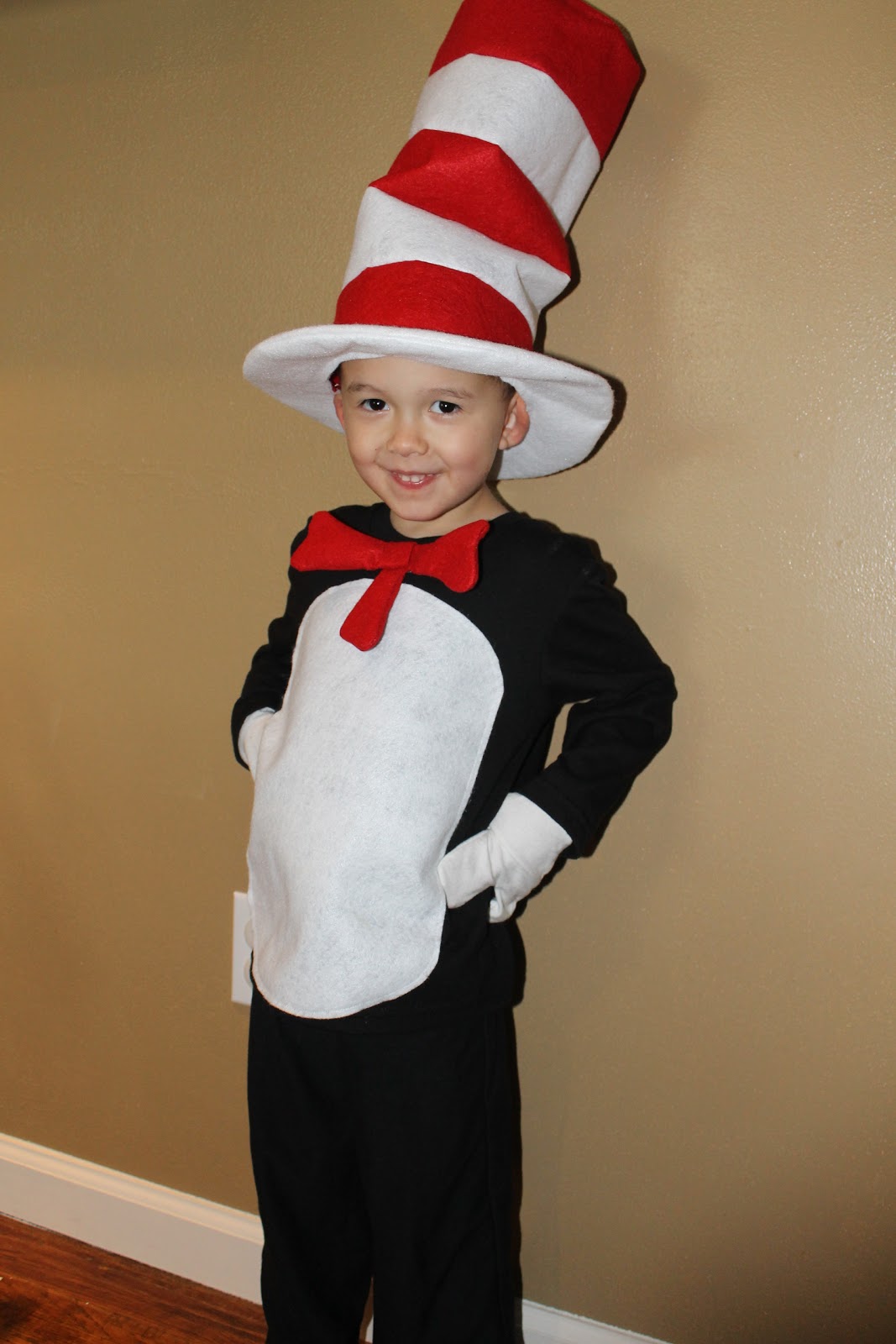 Homemade Cat In The Hat Hat Diy