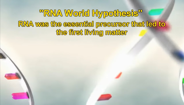 RNA world hypothesis How did life begin? Abiogenesis Origin of life.