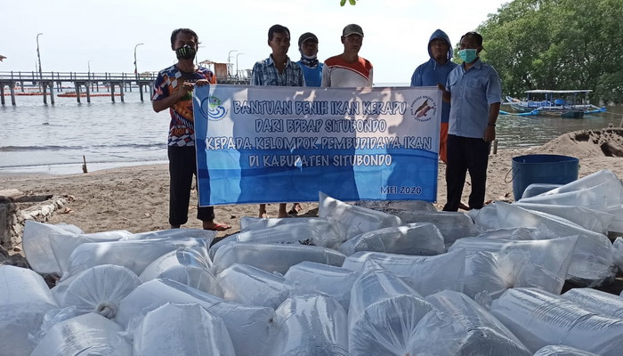 KKP Distribusikan 80.000 Benih Ikan Kerapu di 2 Kabupaten di Jawa Timur