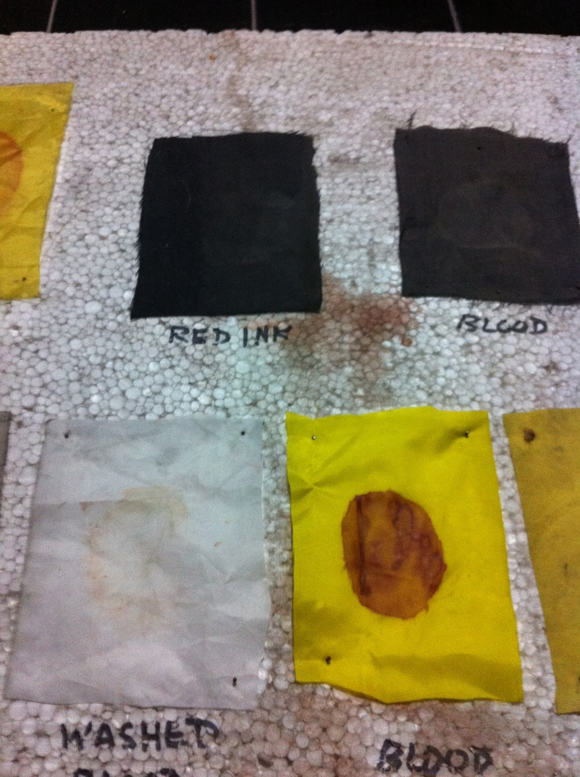 Forensic Biological Lab specimens/ Apparatus