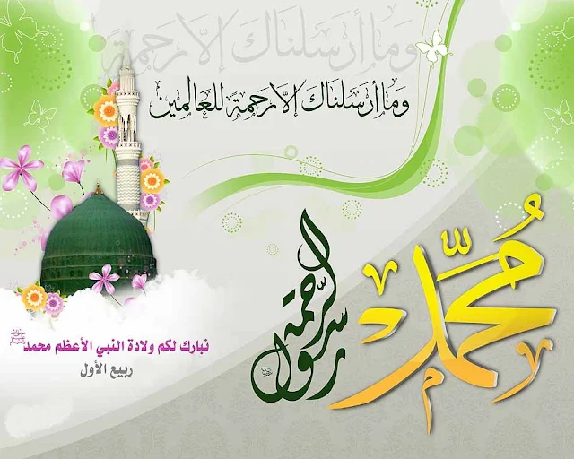 صور عن مولد النبي