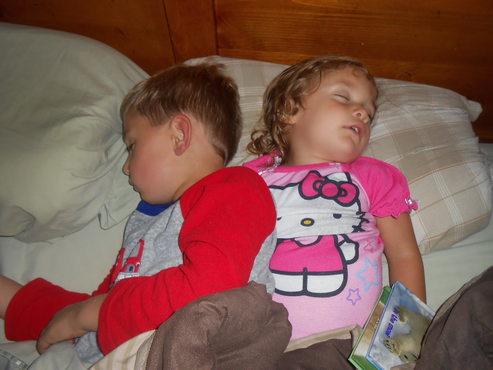 Big Sky Brewers: Sleeping Buddies