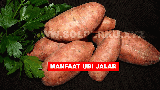 5 MANFAAT UBI JALAR BAGI KESEHATAN