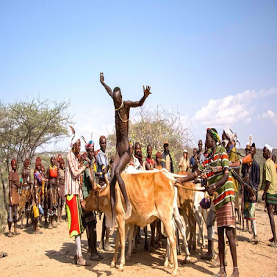 Upacara Bull Jumping Daya Pemikat Wisatawan di Ethiopia