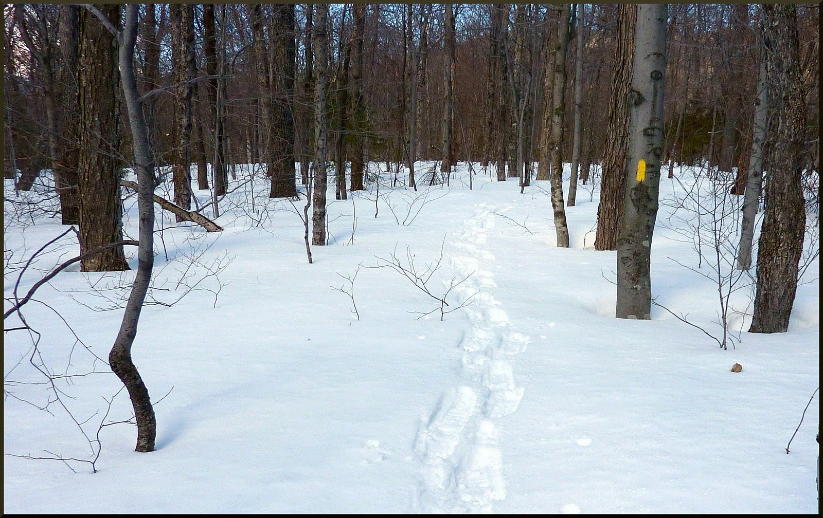 1HappyHiker Hall's Ledge (First of 2 Hikes on 1 Day)