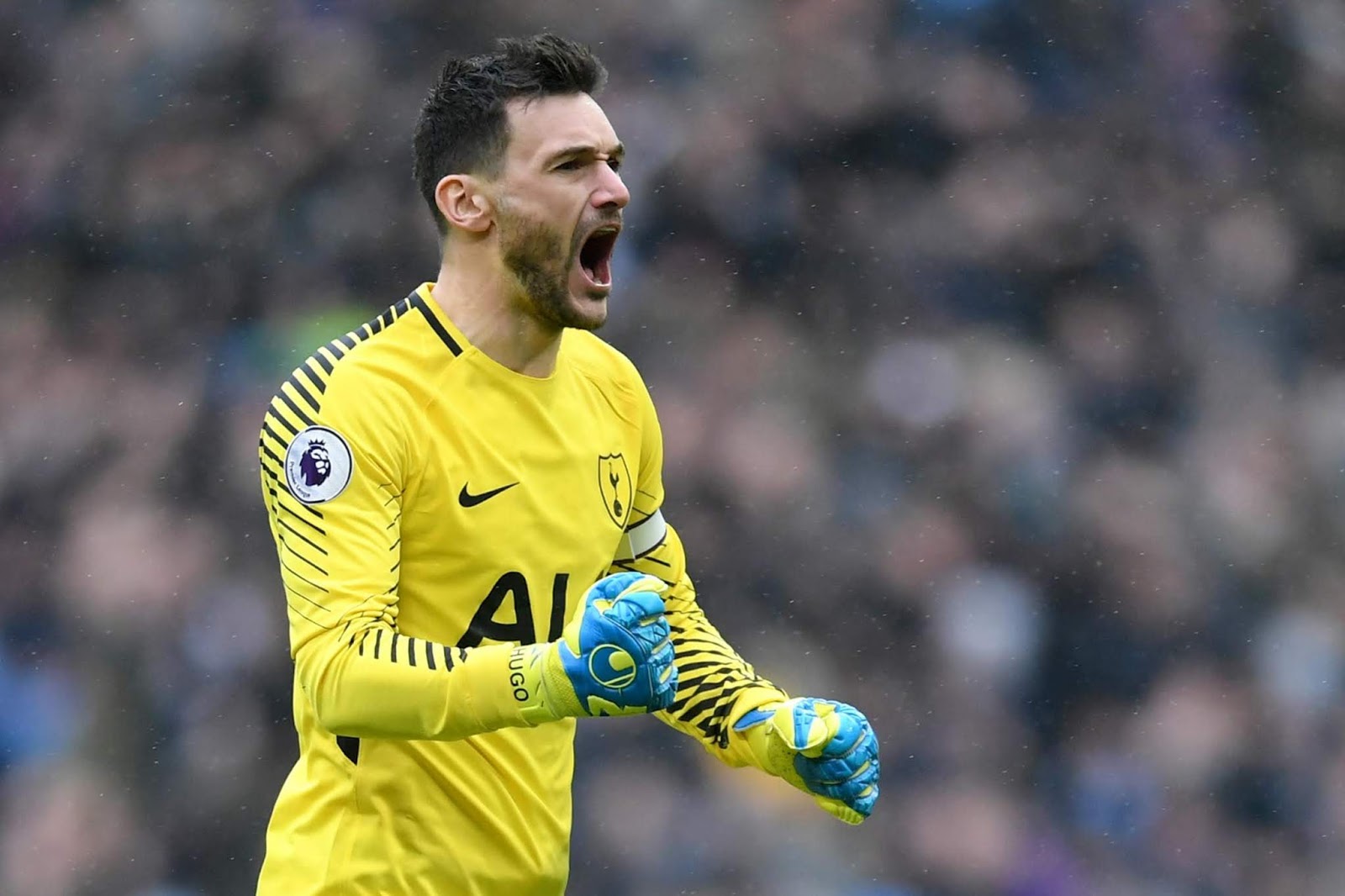 ประวัติ Hugo Lloris ( อูโก้ โยริส )