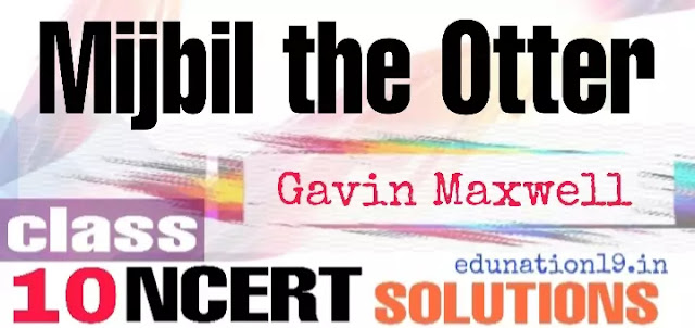 Mijbil the Otter class10 NCERT solutions - edunation19