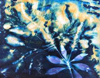 Wet cyanotype_Sue Reno_Image 569
