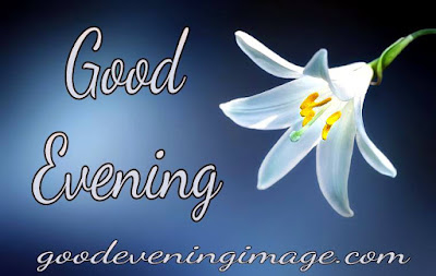 Good evening flowers images for friends Good evening flowers images for friends