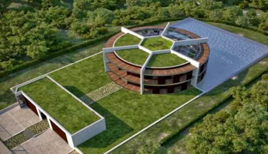 Larga lengua de lagartija A vivenda con forma de campo de fútbol