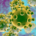 Breaking News: Nigeria Recorded First Case of Coronavirus...