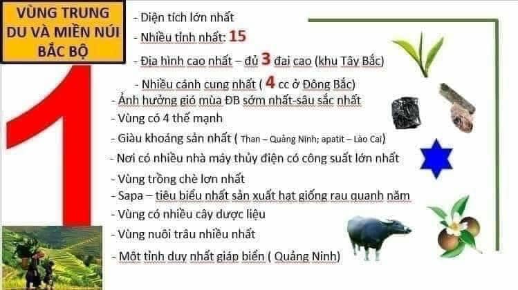 Sơ đồ tư duy địa lý lớp 12 (Phần 4) - iDiaLy.com