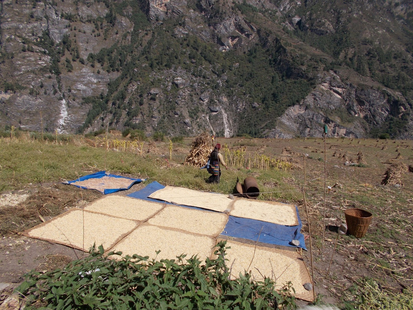 Вокруг Манаслу, долина Цум, Нар-Пу. Непал 2017.