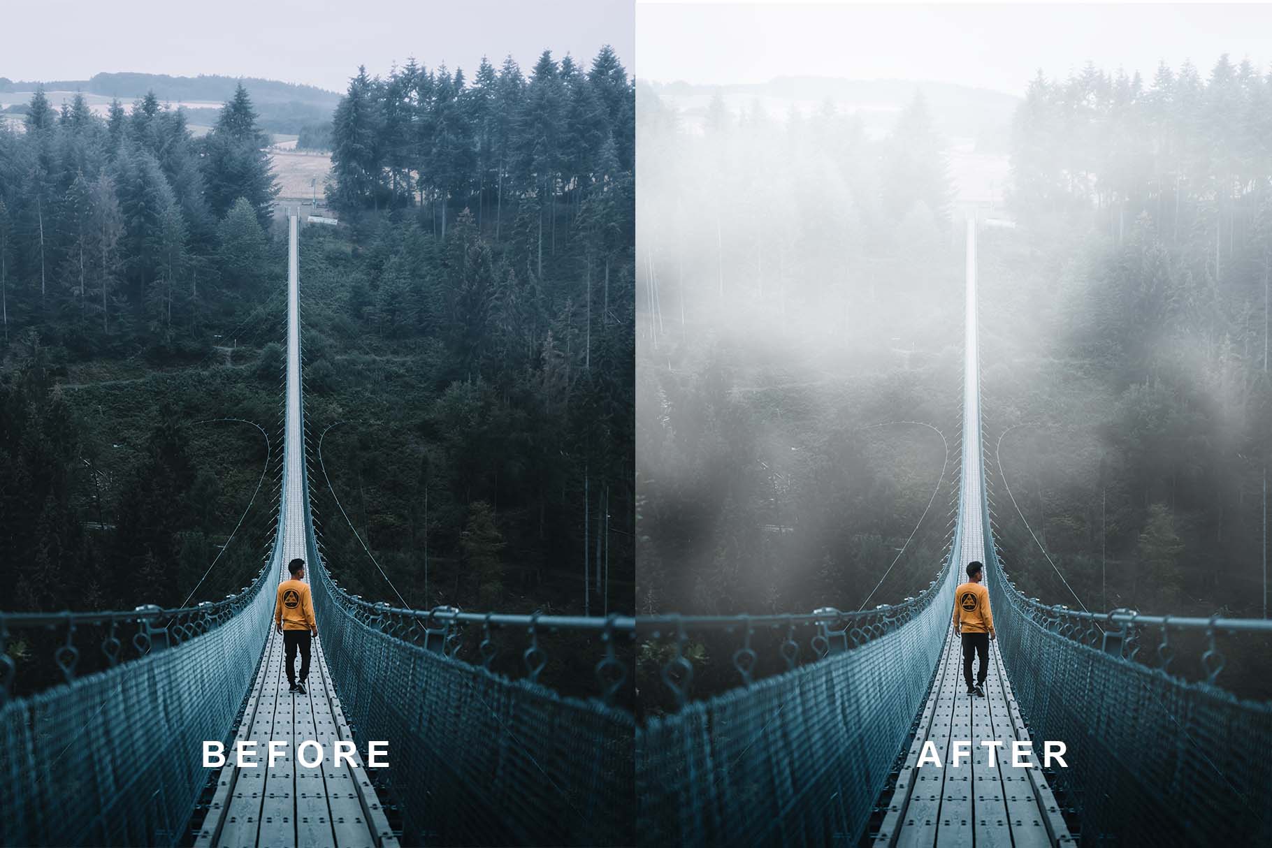 Free DEMO Instant Fog Texture Overlay - Landscape Photography