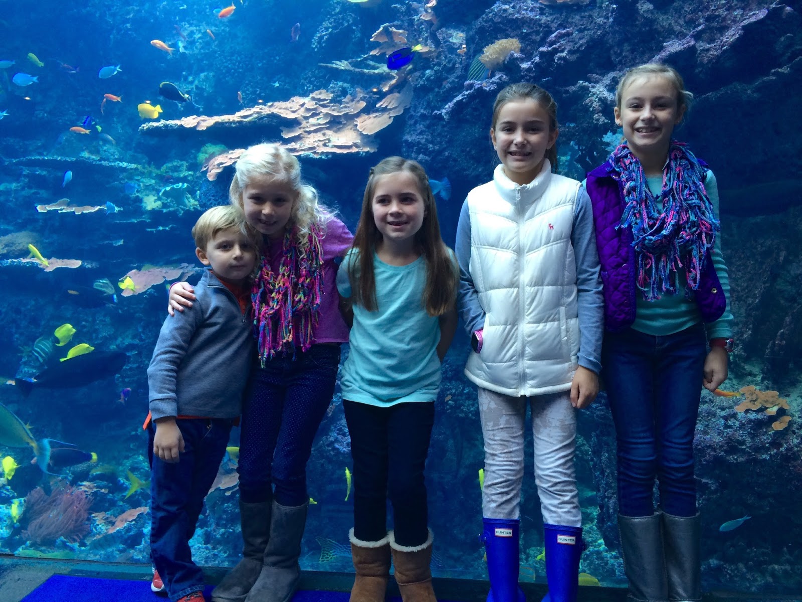 Little HIP Chicks Aquarium Fun!