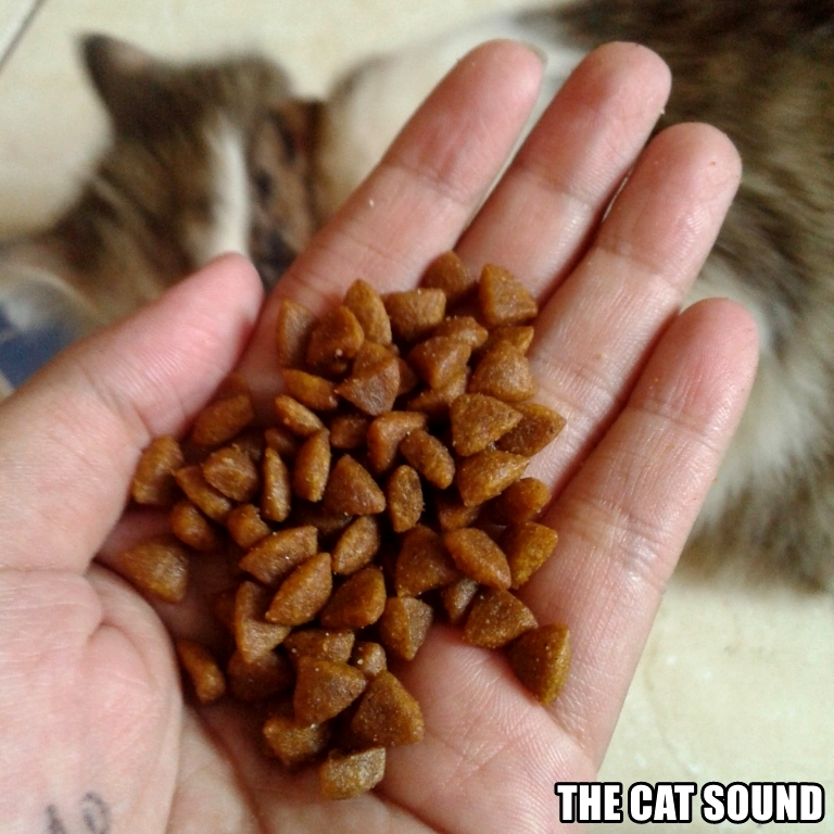 Equilibrio Kitten Indoor Dry Food