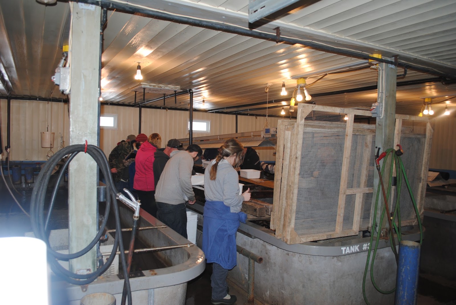 Lake Huron Fishing Club School Salmon Hatcheries and Events Lake Huron