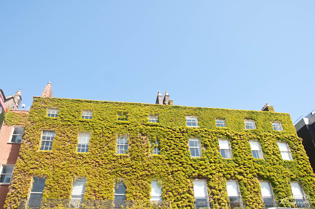 Citytrip dans Dublin - St Stephen's green