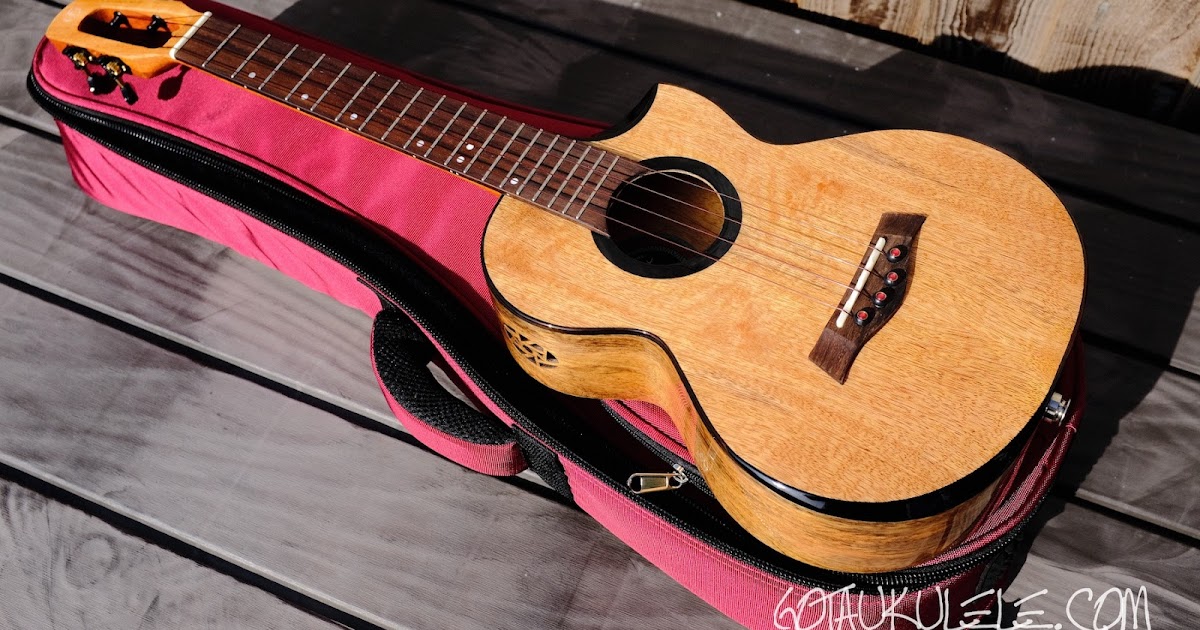 GOT A UKULELE Ukulele reviews and beginners tips Flight