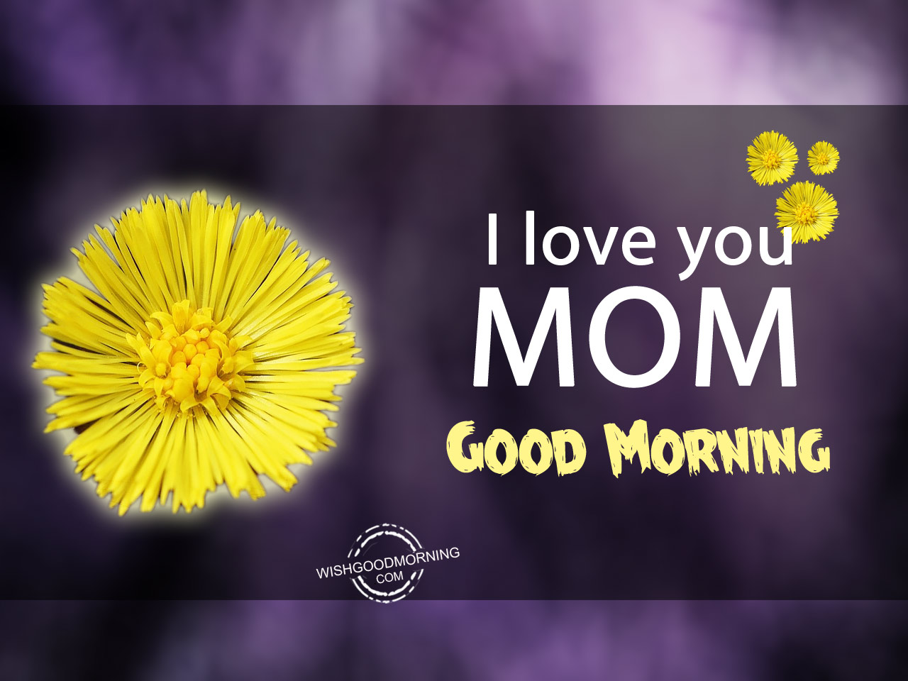 101-beautiful-good-morning-mom-images-with-quotes-love-dose-spread