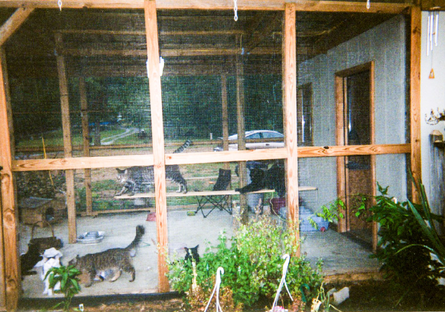 Pet grooming services Pet Boarding Service Animals trust Donna