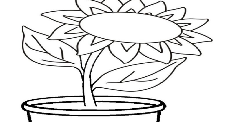 gambar mewarnai pot bunga 