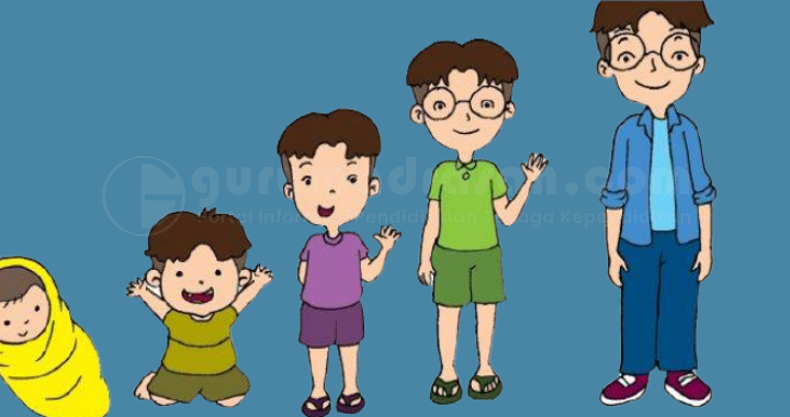 Kunci Jawaban Kelas 3 Sd Tema 1 Halaman 52 53 54 58 59 Dan 61 Subtema 2 Pembelajaran 1 - Guru Madrasah