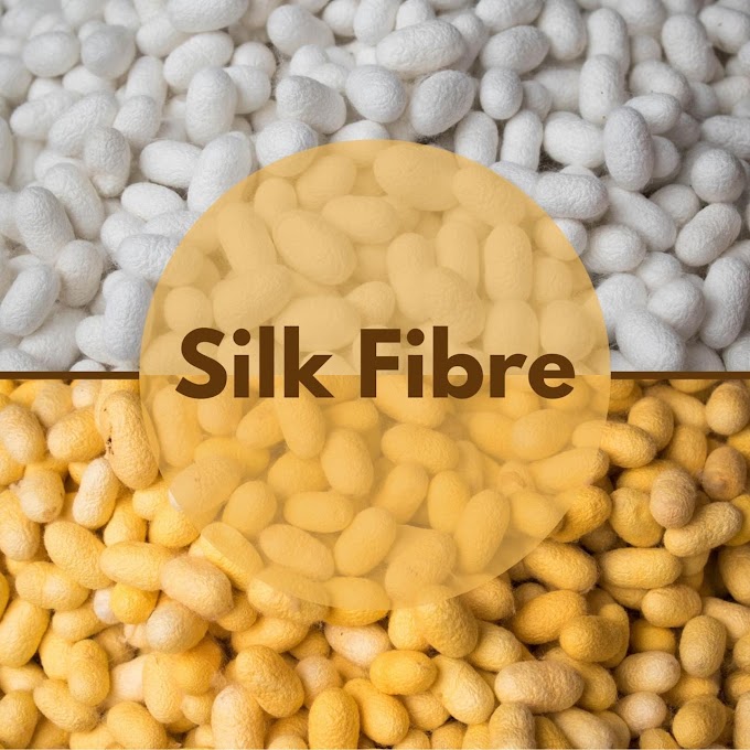 Fibers || Silk || Cotton || Polyester || Properties || Applications