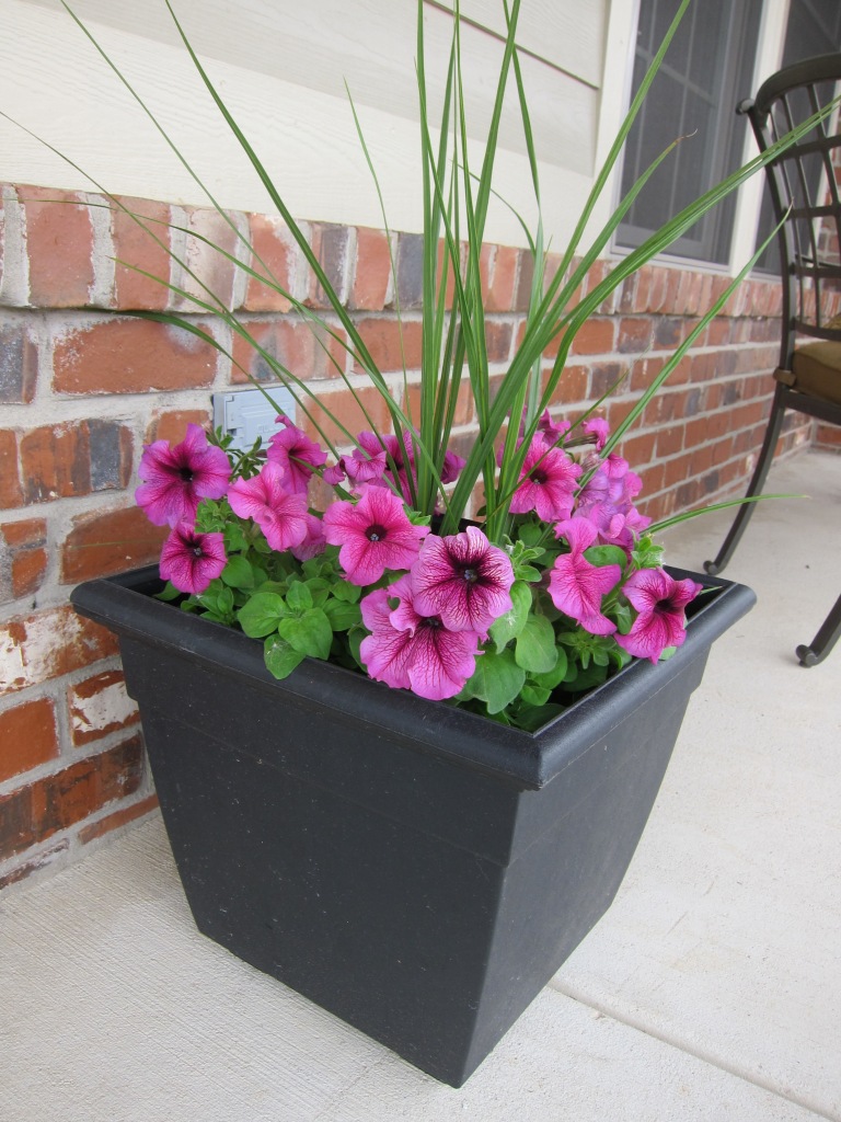 Caring Baby Creations Plenty O' Petunias