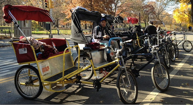 Central Park Rickshaw Tours Pics