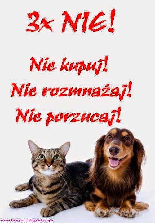 NIE!