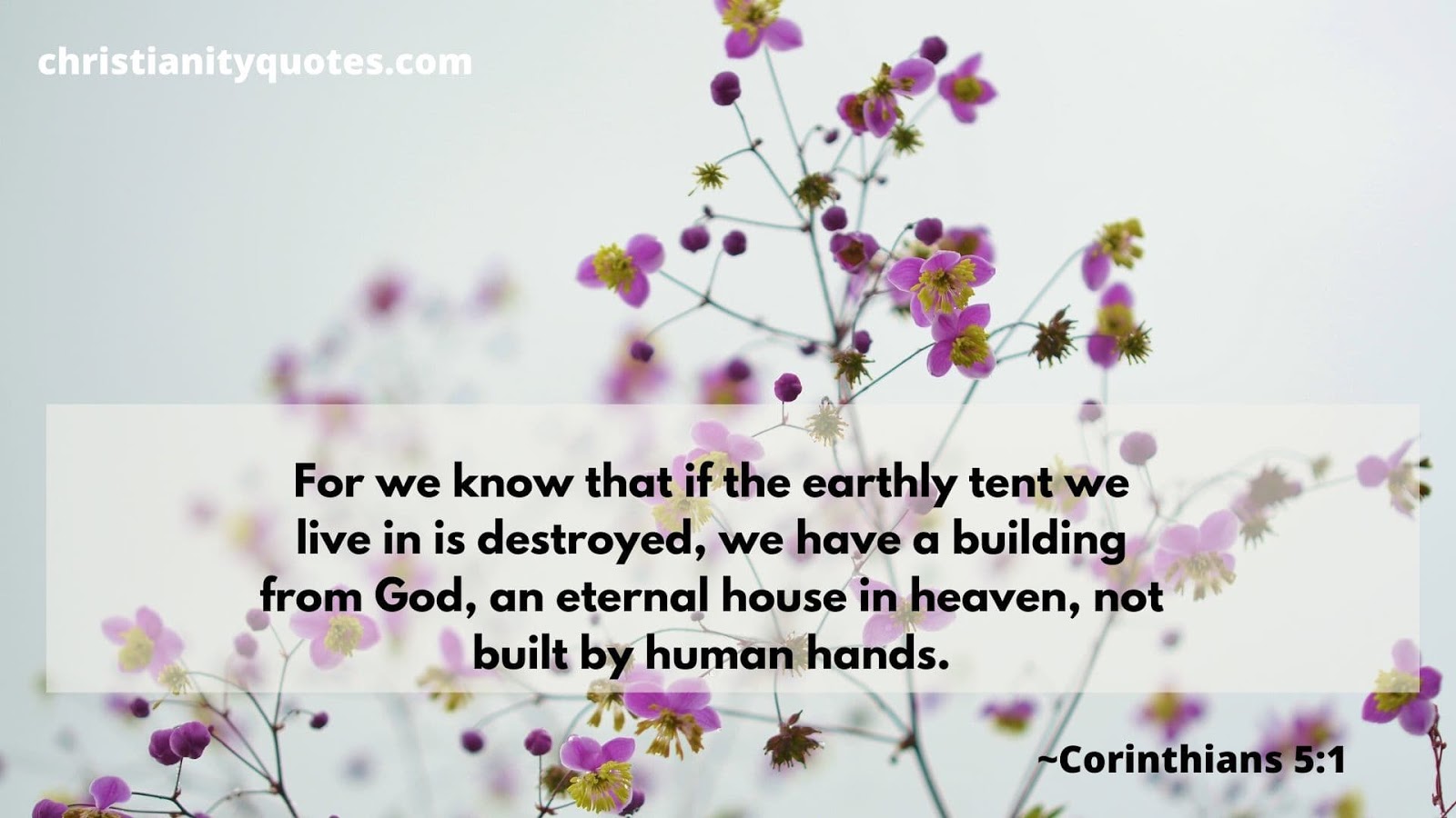 40+ Comforting And Helpful Bible Verses For Funerals