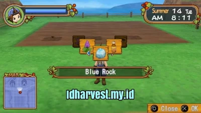 Cara Mendapatkan Blue Rock di Harvest Moon: Hero of Leaf Valley