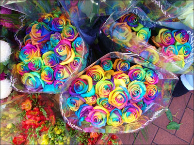 Rainbow Roses 6