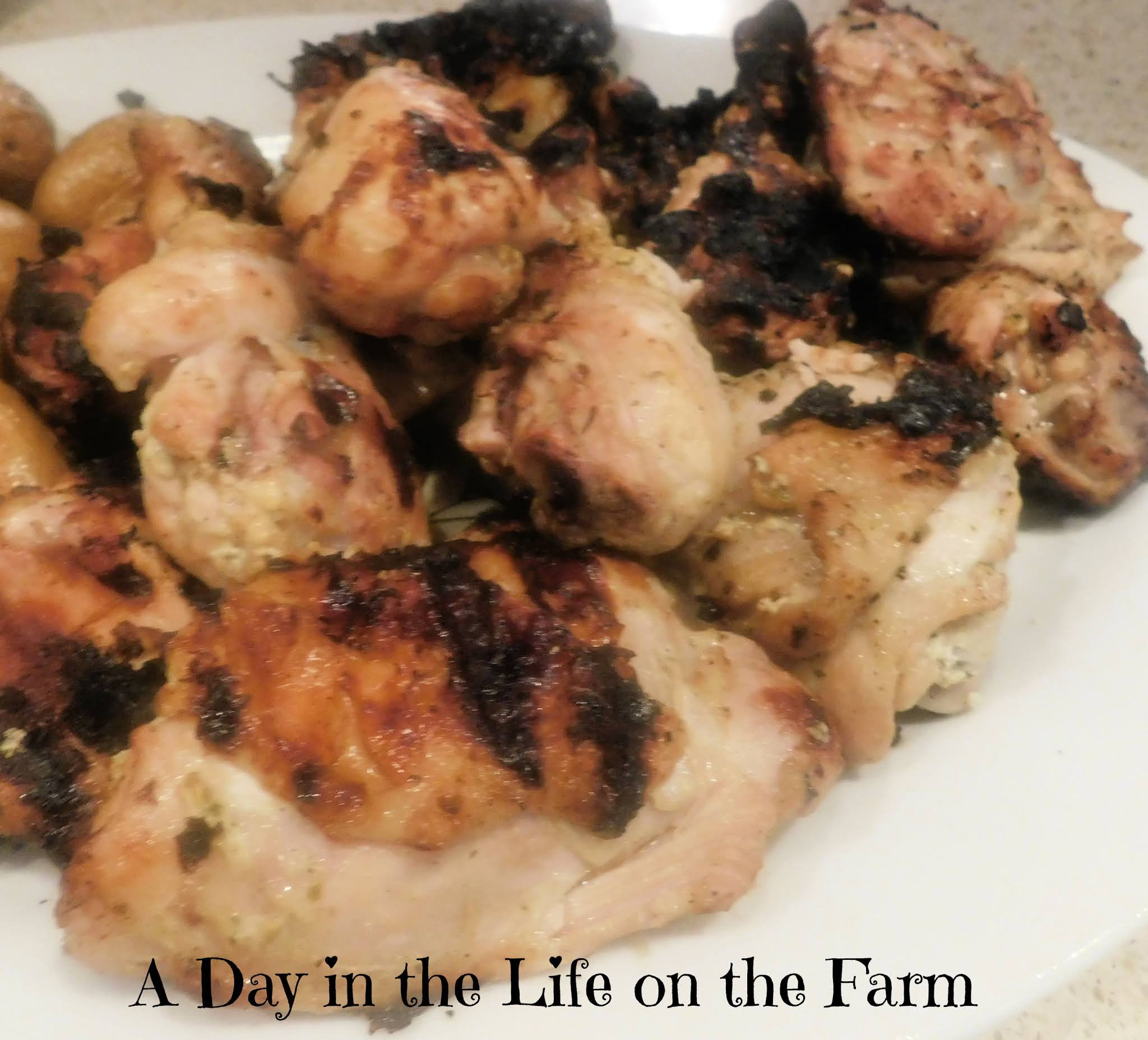 A Day in the Life on the Farm Yogurt and Cilantro Marinated Grilled