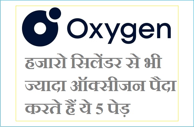 Hajaro Cylinders se bhi jyada Oxygen paida karte hai ye 5