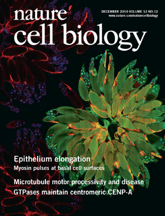 Nature Cell Biology Natural Information