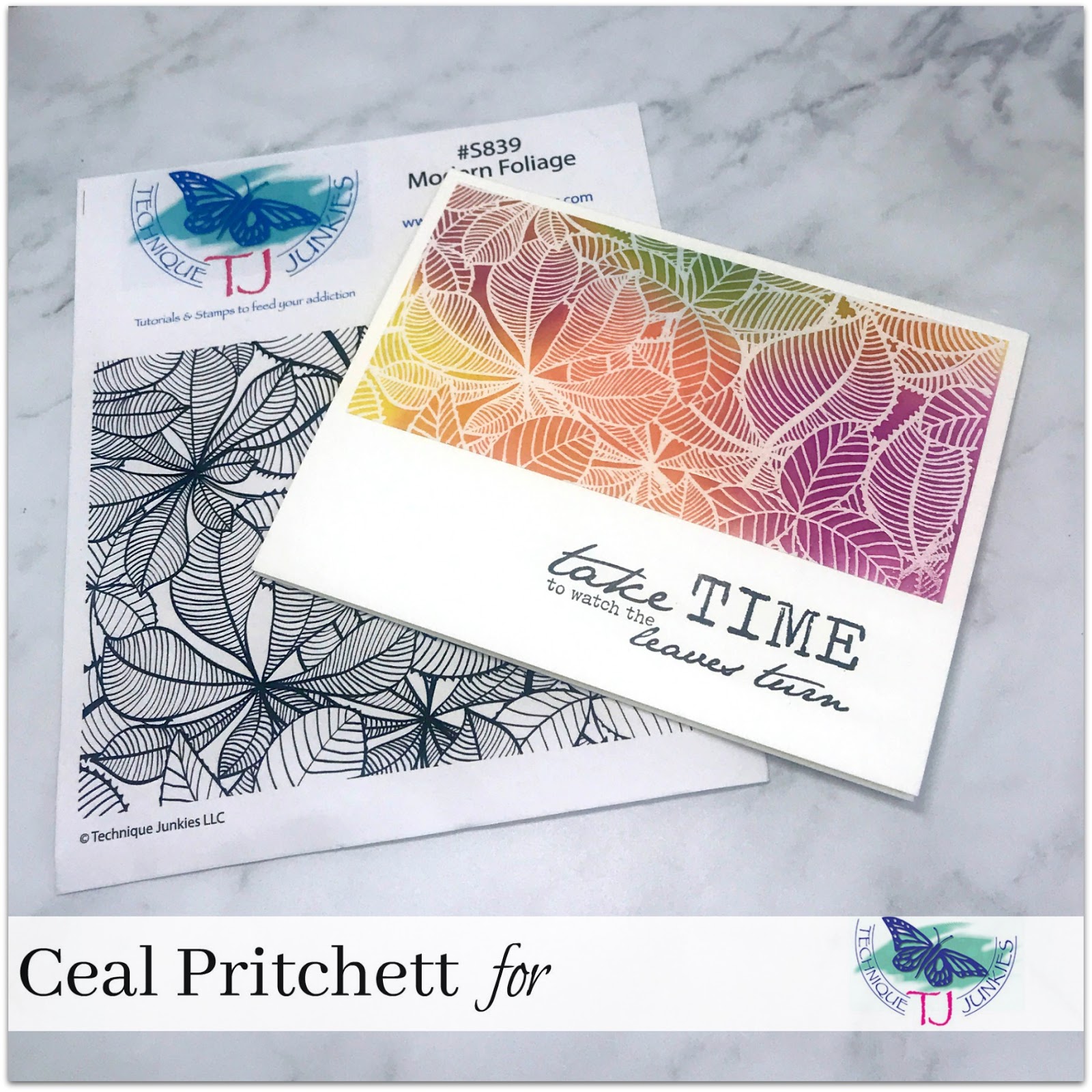 Simply Beautiful Technique Junkies Stamps September Release Celebration