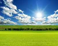 Sunshine Green Grass Field Full HD Nature Wallpapers Free Downloads For Laptop PC Desktop Backgrounds