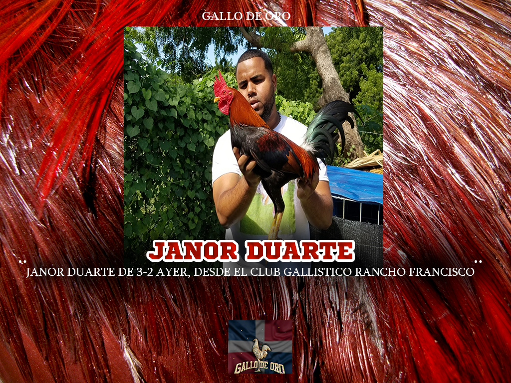 JANOR DUARTE DE 32 AYER, DESDE EL CLUB GALLISTICO RANCHO FRANCISCO.