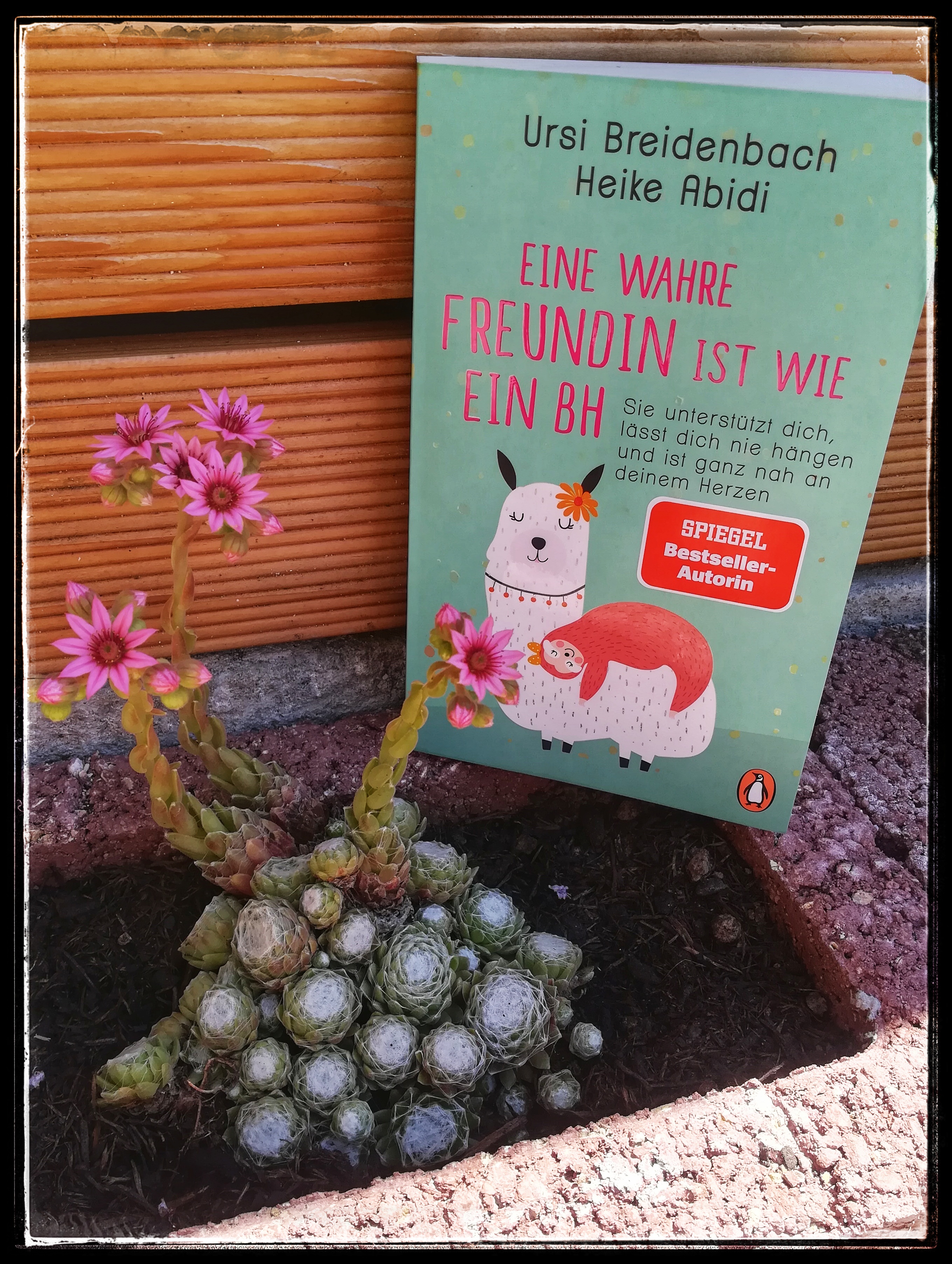 Eine Wahre Freundin Ist Wie Ein Bh nichtohnebuch: Eine wahre Freundin ist wie ein BH