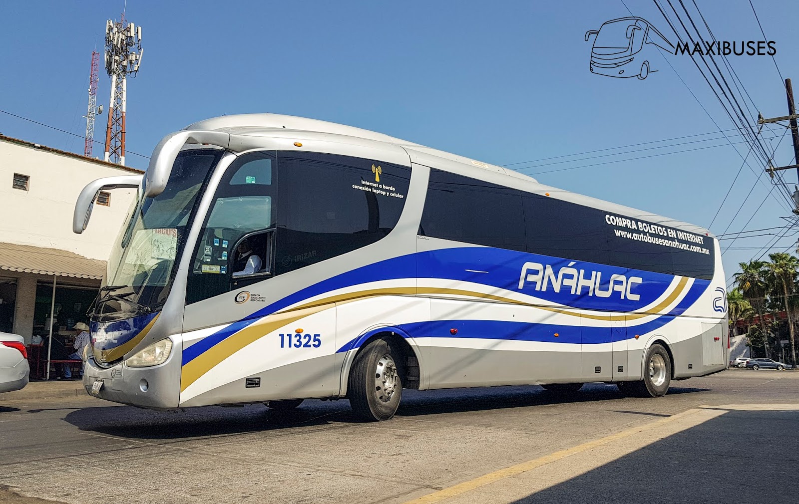 MAXIBUSES AUTOBUSES ANÁHUAC