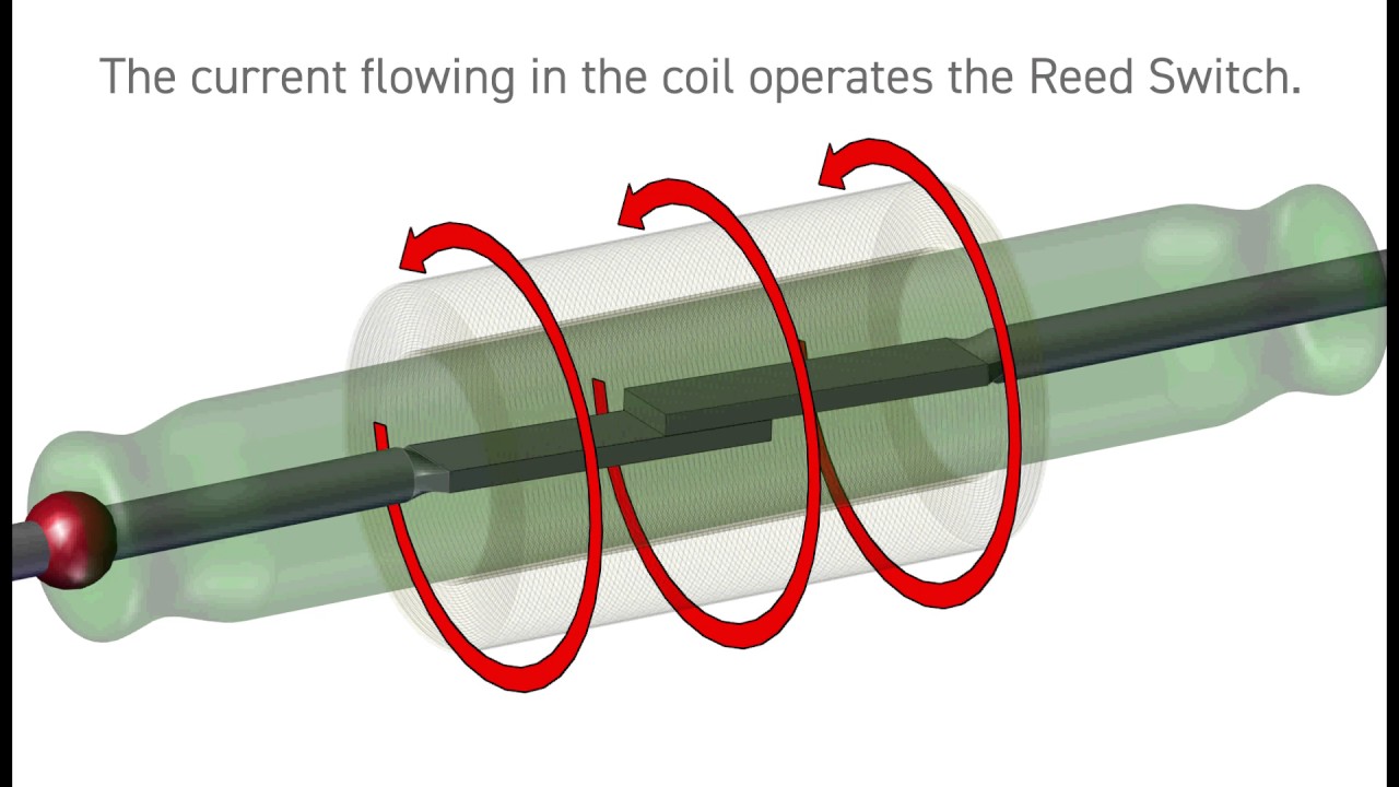 Belajar elektronika dan telekomunikasi Pengertian dan penjelasan Reed