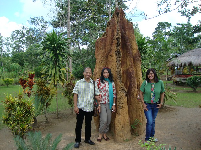 DUNIAKU: Perbatasan Indonesia-Papua New Guinea di Sota Merauke