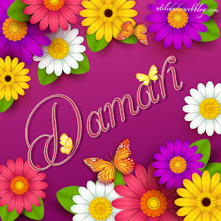 imagenes con nombre damari